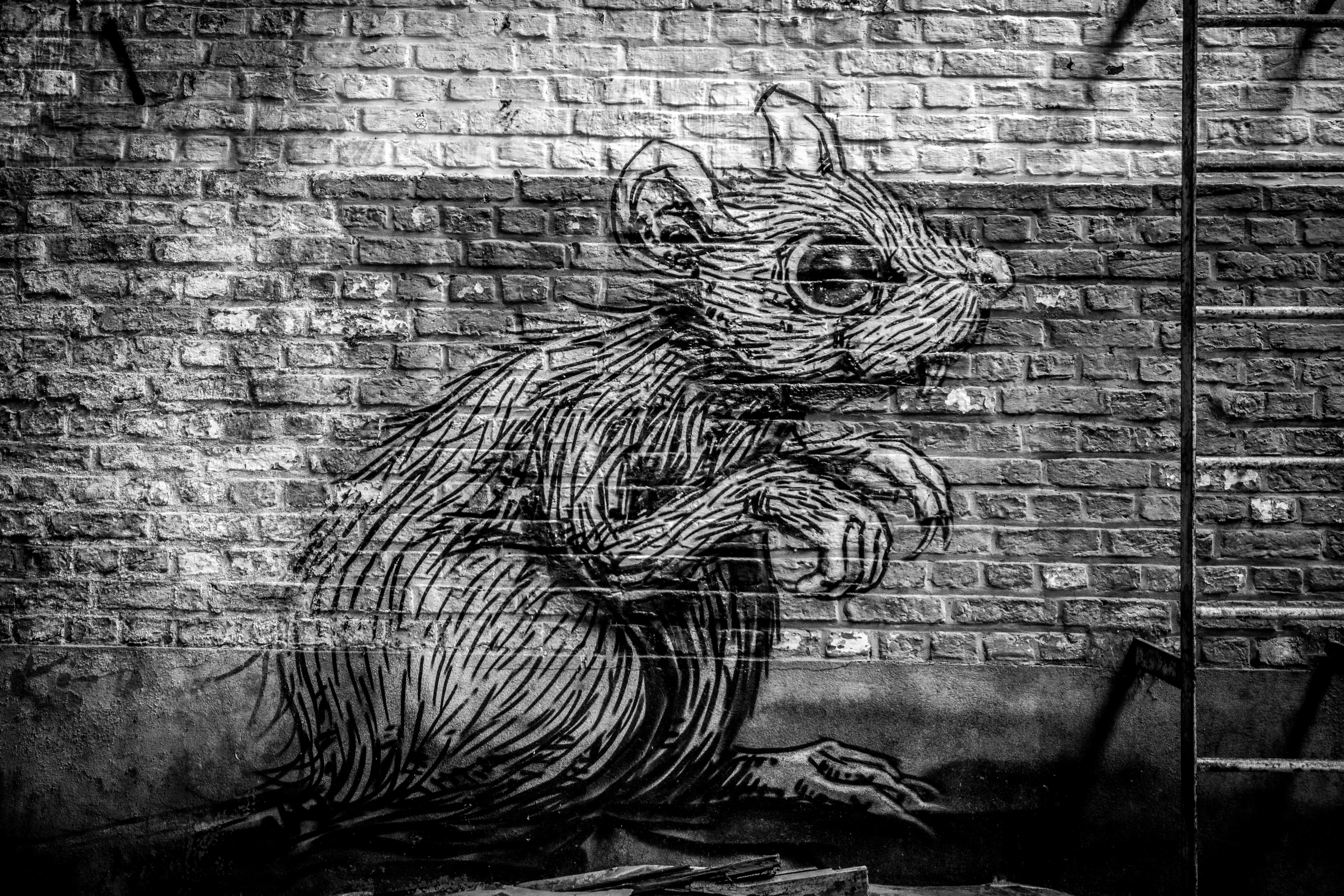 The 'Rat People' Trend and China's Demographic Crisis: A Threat to Xi Jinping's Global Ambitions